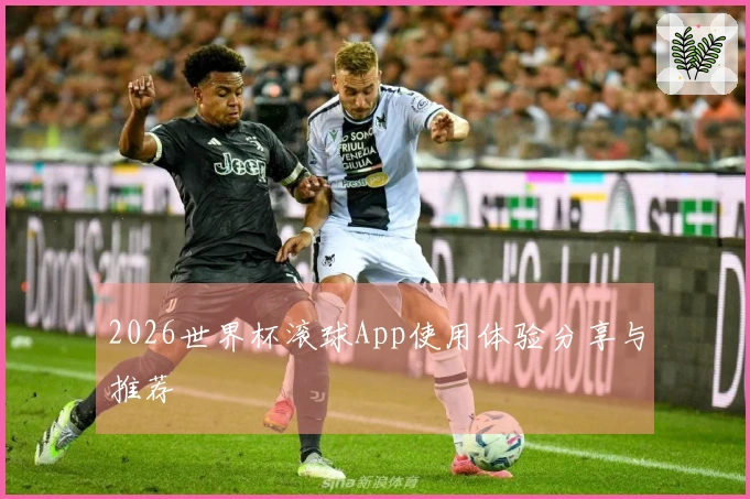 2026世界杯滚球App使用体验分享与推荐