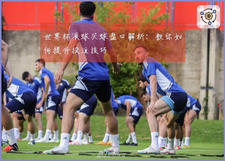世界杯滚球买球盘口解析：教你如何提升投注技巧