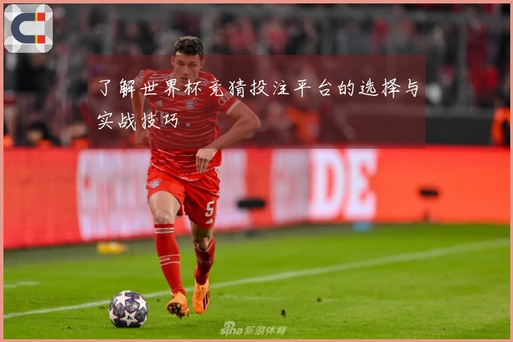 了解世界杯竞猜投注平台的选择与实战技巧