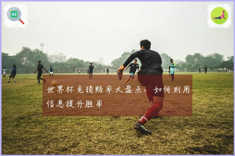 世界杯竞猜赔率大盘点，如何利用信息提升胜率