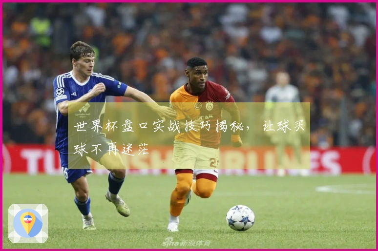世界杯盘口实战技巧揭秘，让球买球不再迷茫
