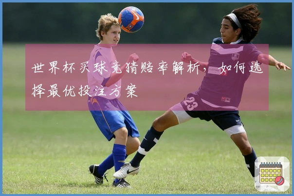 世界杯买球竞猜赔率解析，如何选择最优投注方案