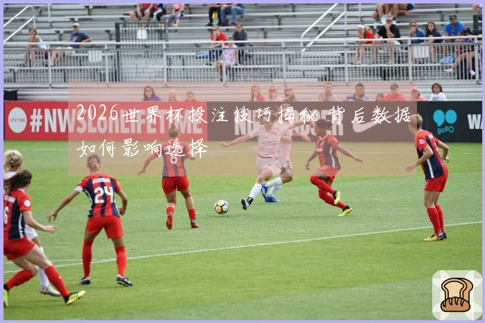 2026世界杯投注技巧揭秘 背后数据如何影响选择