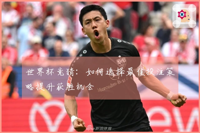 世界杯竞猜：如何选择最佳投注策略提升获胜机会