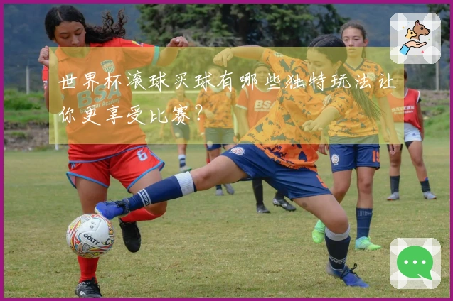 世界杯滚球买球有哪些独特玩法让你更享受比赛？