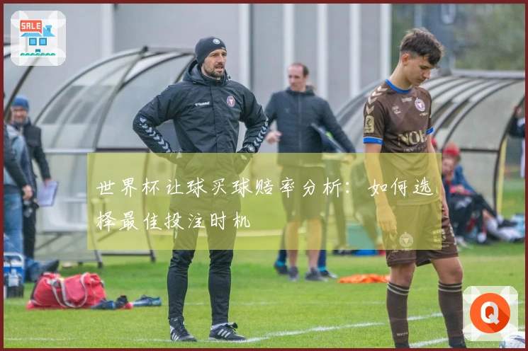 世界杯让球买球赔率分析：如何选择最佳投注时机