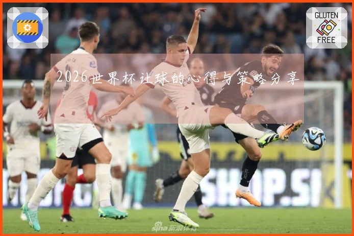 2026世界杯让球的心得与策略分享